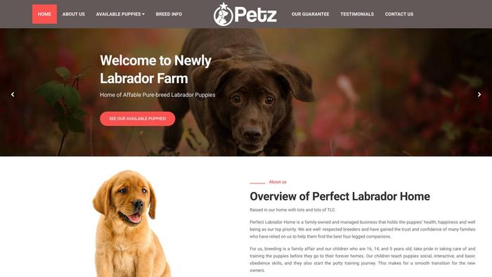 Labrador-breeder.online - Labrador Puppy Scam Review