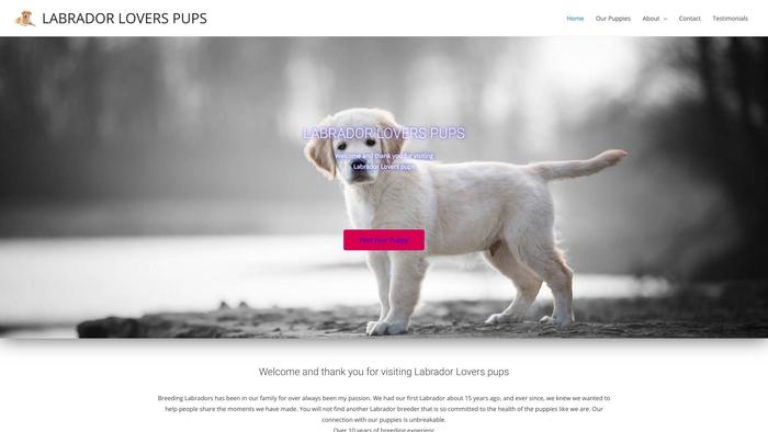 Labradoreloverspups.com - Labrador Puppy Scam Review