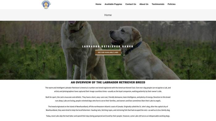 Labretrieverranch.com - Golden Retriever Puppy Scam Review