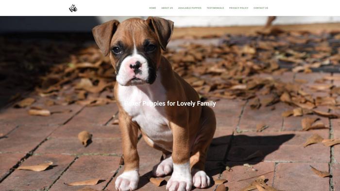 Lafoxboxerspuppyhome.com - Boxer Puppy Scam Review