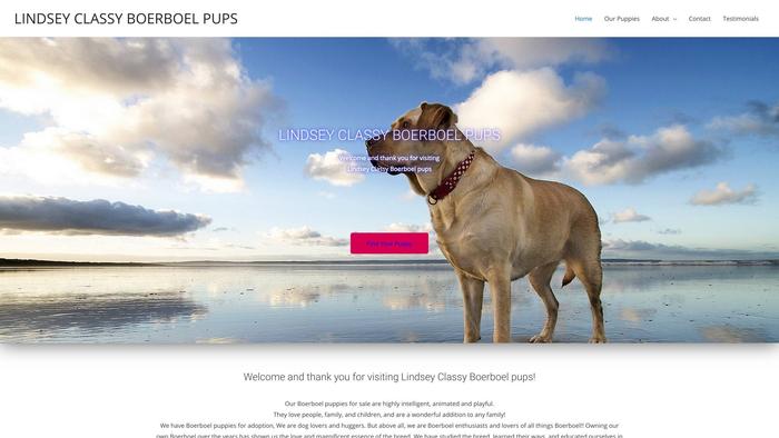 Lindseyclassyboerboelpups.com - Labrador Puppy Scam Review