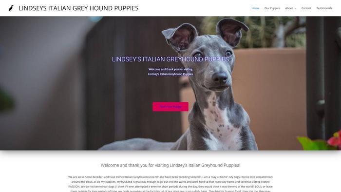 Lindseyitaliangreyhoundpups.com - Royal Terrrier Puppy Scam Review