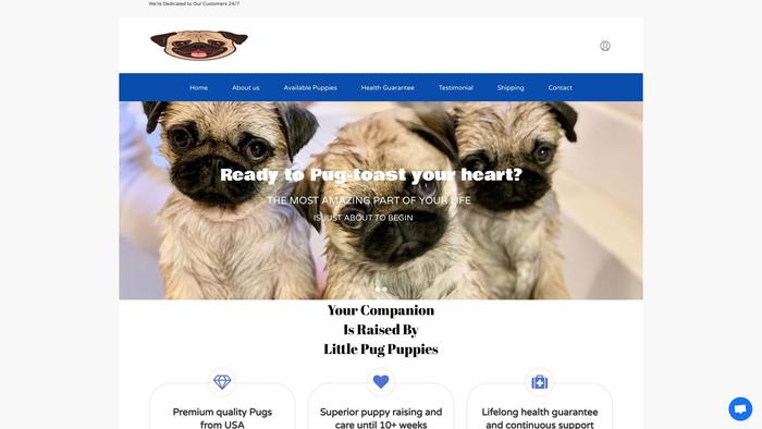 Littlepugpuppiesforsale.com - Pug Puppy Scam Review