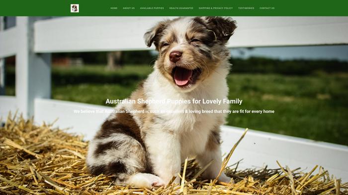 Lovelyaussiesready.com - Australian Shepherd Puppy Scam Review