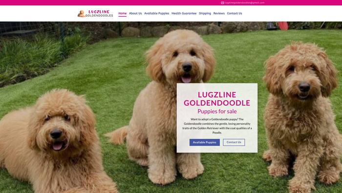 Lugzlinegoldendoodles.com - Golden Doodle Puppy Scam Review