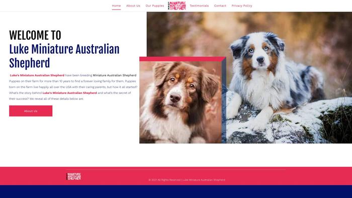 Lukesminiatureaustralianshepherd.com - Germanshepherd Puppy Scam Review