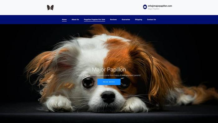 Majorpapillon.com - Papillon Puppy Scam Review