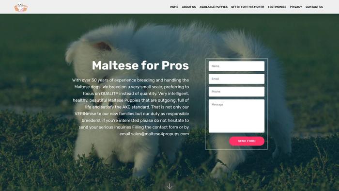 Maltese4propups.com - Maltese Puppy Scam Review