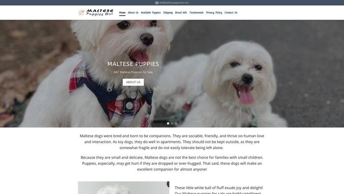 Maltesepuppieshot.com - Maltese Puppy Scam Review