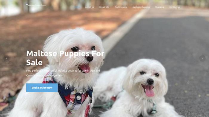 Maltesepuppyfarm.com - Maltese Puppy Scam Review