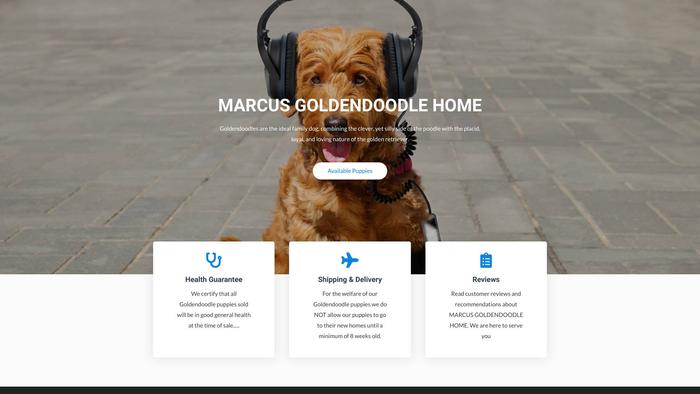 Marcusgoldendoodlehome.com - Golden Doodle Puppy Scam Review