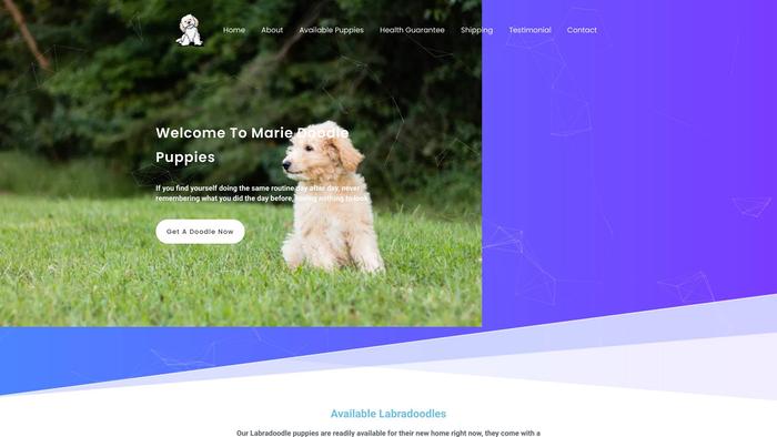 Mariedoodlepuppies.com - Labradoodle Puppy Scam Review