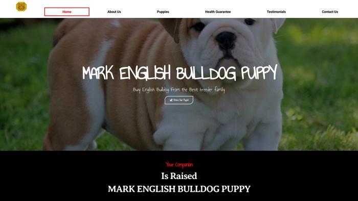 Markenglishbulldog.com - English Bulldog Puppy Scam Review