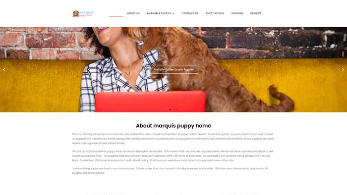 Marquispuppyhome.store - Golden Doodle Puppy Scam Review