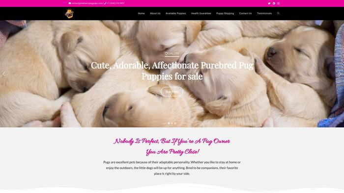 Melharcopugpups.com - Pug Puppy Scam Review