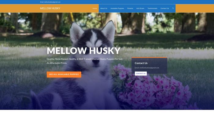 Mellowhusky.com - Husky Puppy Scam Review