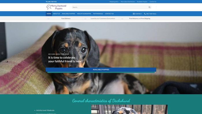 Merrydachshundpuppies.com - Dachshund Puppy Scam Review