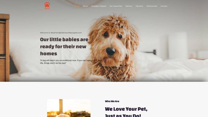 Meyerlandgoldendoodlepuppies.com - Golden Doodle Puppy Scam Review