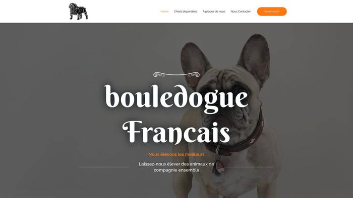 Micheletlucbouledoguefrancais.com - Dogue De Bordeaux Puppy Scam Review