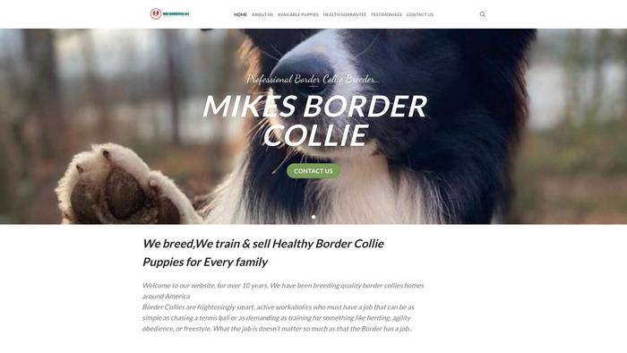 Mikesbordercollies.com - Bordercollie Puppy Scam Review