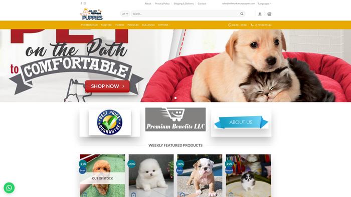 Millerarkansaspuppies.com - Yorkshire Terrier Puppy Scam Review