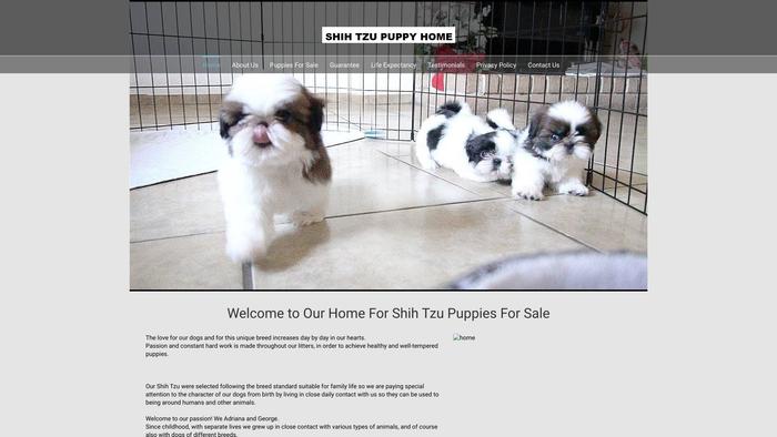 Millisonparkbordercollies.com - Bordercollie Puppy Scam Review