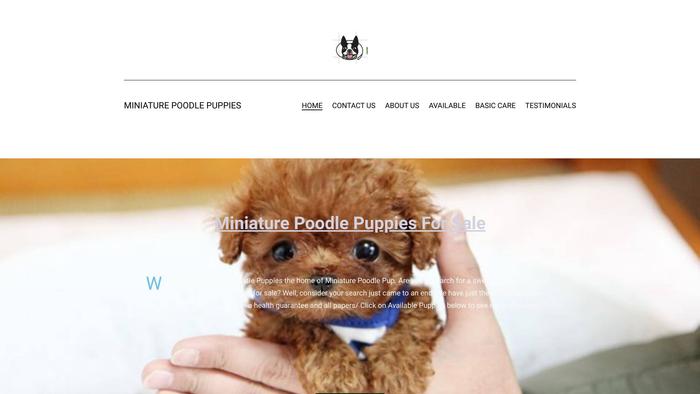 Miniaturepoodlepuppies.com - Poodle Puppy Scam Review