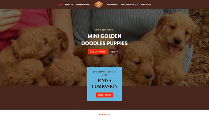 Minigoldendoodlepuppiessalenearme.com - Golden Doodle Puppy Scam Review