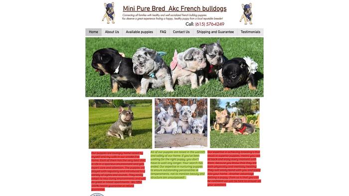 Minihomefrenchbulldog.com - French Bulldog Puppy Scam Review