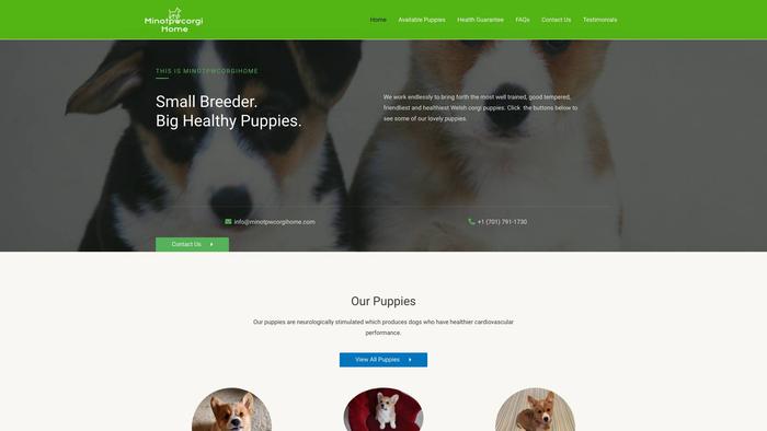 Minotpwcorgihome.com - Corgi Puppy Scam Review