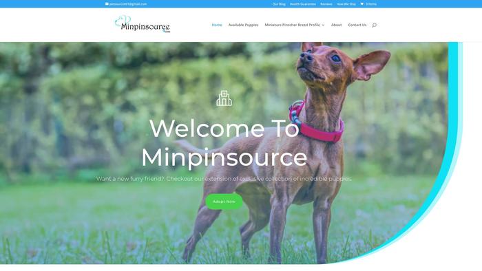 Minpinsource.com - Doberman Pinscher Puppy Scam Review