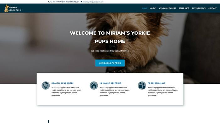 Miriamsyorkiepuppies.com - Yorkshire Terrier Puppy Scam Review