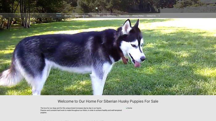 Mishasiberianhuskyrescue.com - Husky Puppy Scam Review