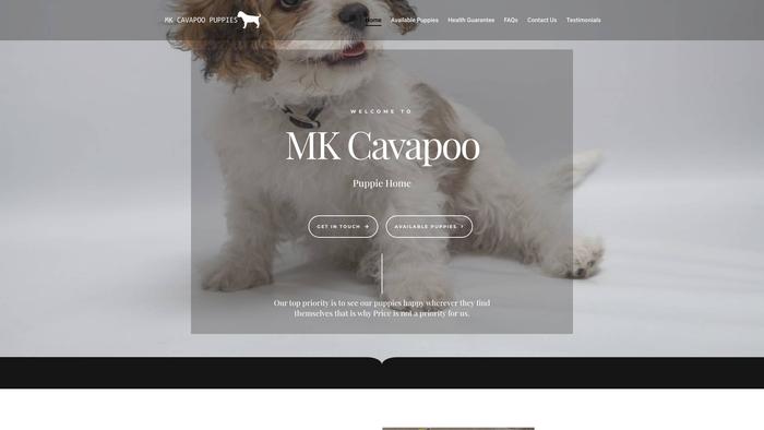 Mkcavapoopuppieshome.com - Cavapoo Puppy Scam Review