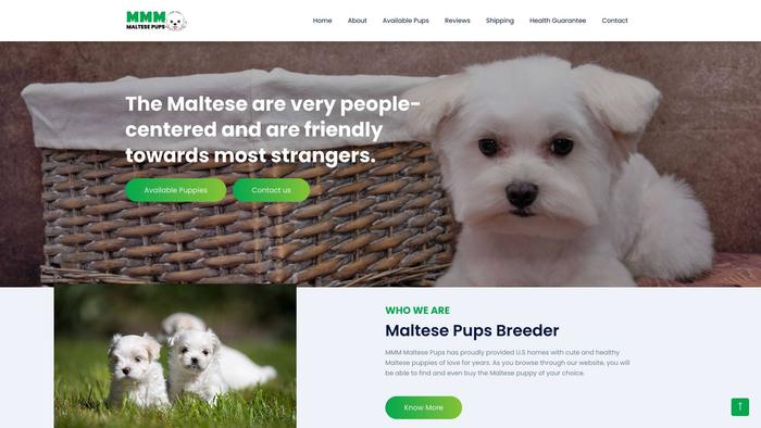 Mmm-maltesespups.com - Maltese Puppy Scam Review