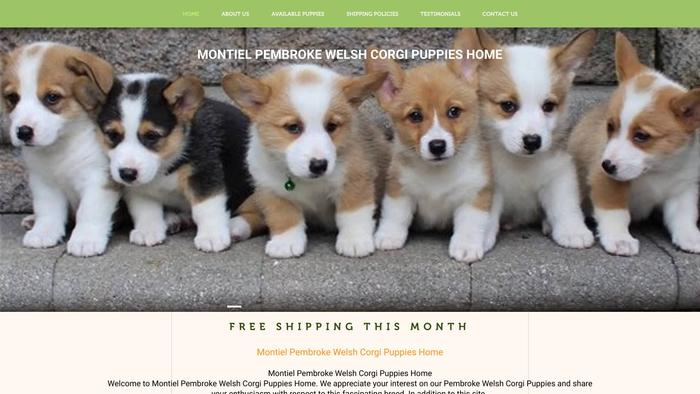 Montielpembrokewelshcorgipuppieshome.com - Corgi Puppy Scam Review