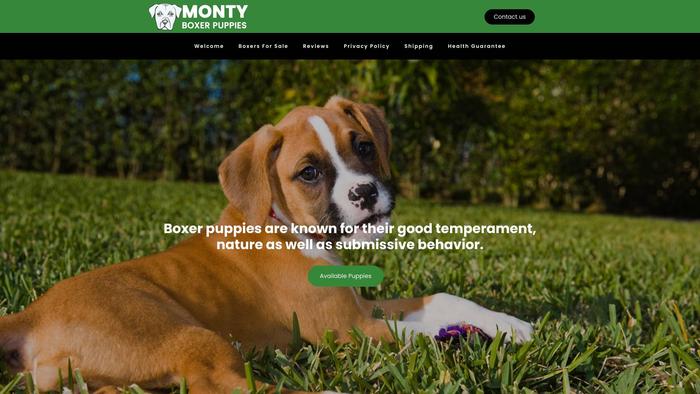 Montyboxerpuppies.com - Boxer Puppy Scam Review