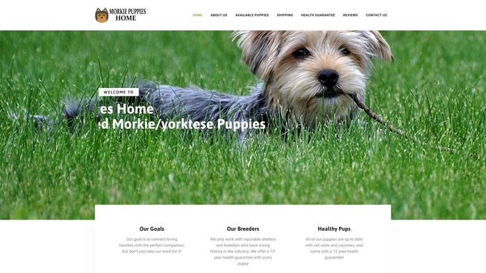 Morkiepuppiesfamily.com - Yorkshire Terrier Puppy Scam Review