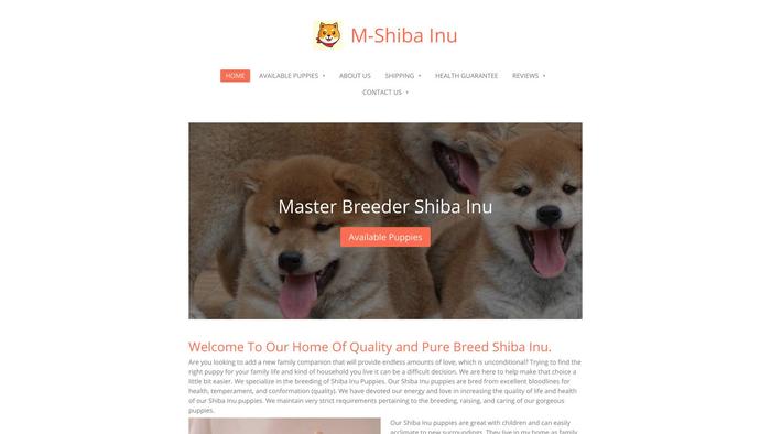 Mshibas.com - Shibhainu Puppy Scam Review