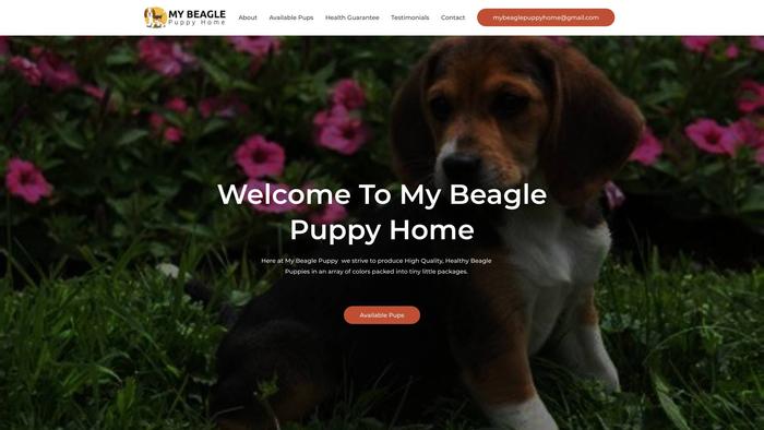 Mybeaglepuppyhome.com - Beagle Puppy Scam Review