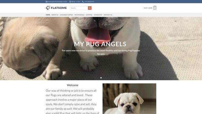 Mypugangels.com - Pug Puppy Scam Review