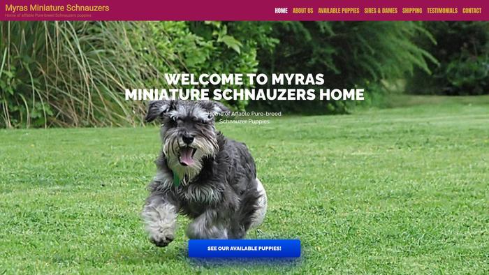 Myrasminischnauzers.com - Schnauzer Puppy Scam Review