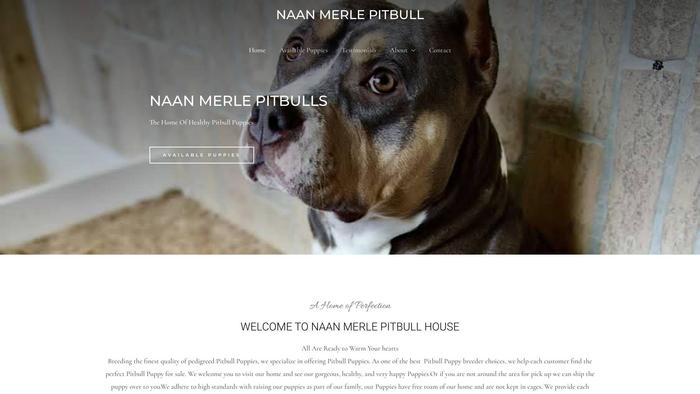 Naanmerlepitbull.com - Pit Bull Puppy Scam Review