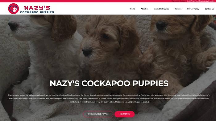 Nazyscockapoopuppies.com - Cockapoo Puppy Scam Review