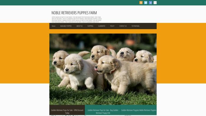 Nobleretrieversfarm.com - Golden Retriever Puppy Scam Review