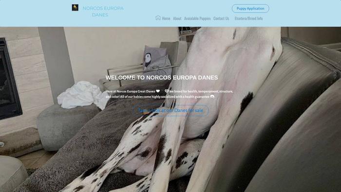 Norcoseuropadanes.com - Great Dane Puppy Scam Review