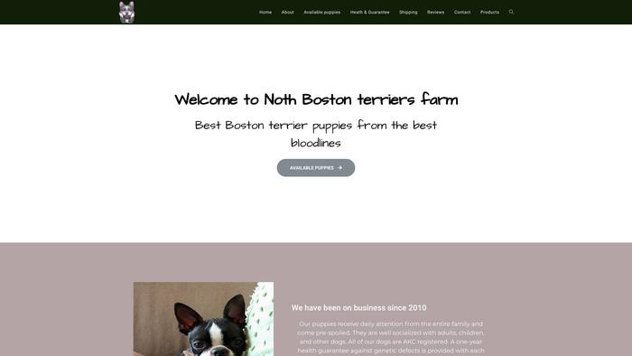 Nothbostonterrier.com - Boston Terrier Puppy Scam Review