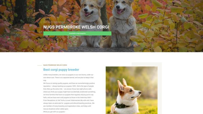 Nugspembrokewelshcorgi.com - Corgi Puppy Scam Review