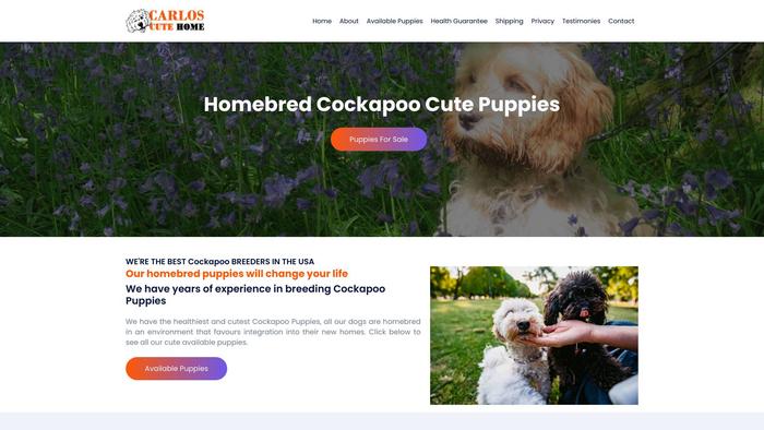 Olscalsoncutehome.com - Golden Doodle Puppy Scam Review