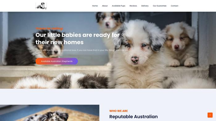 Ourpremiumaussies.com - Australian Shepherd Puppy Scam Review